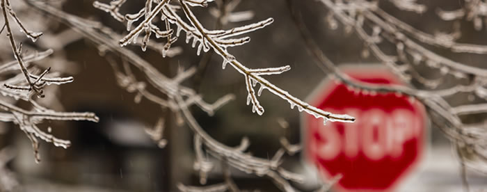 Winter 2015 EDEN Newsletter